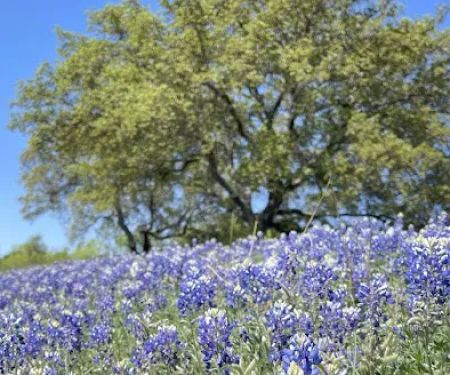 Marble Falls RV Park