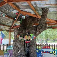 Windmills Lakebum RV Park ico