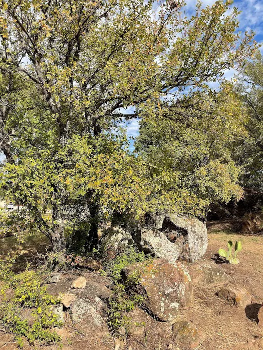 The Noble RV Park Picture 2