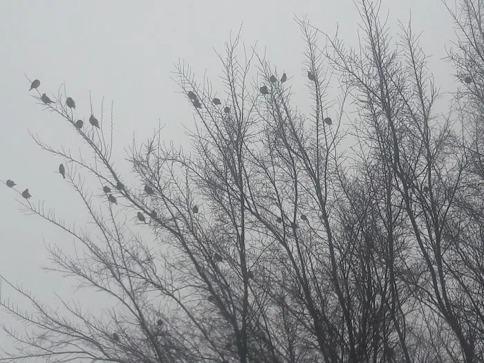 Gateway Estates II Mobile Home Park Picture 1