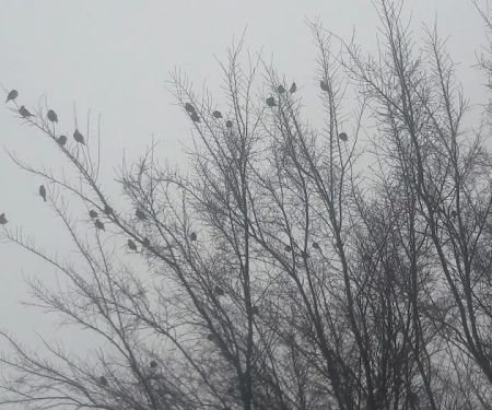 Gateway Estates II Mobile Home Park