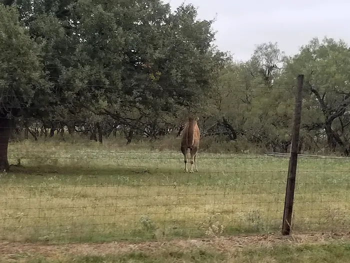 La Mancha Lake Ranch Picture 9