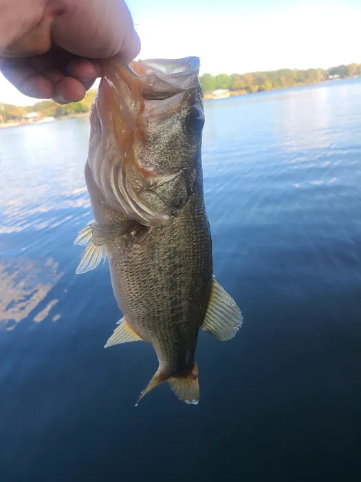 La Mancha Lake Ranch Picture 1