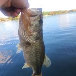 La Mancha Lake Ranch