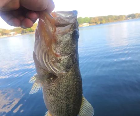 La Mancha Lake Ranch