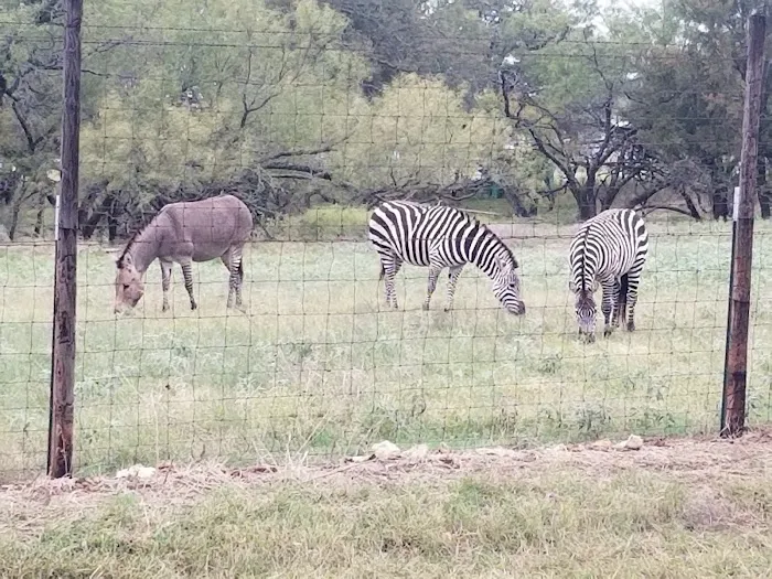 La Mancha Lake Ranch Picture 5