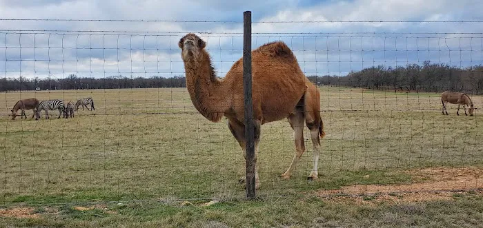 La Mancha Lake Ranch Picture 4