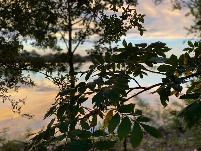 The Cove Rv Park Picture 10