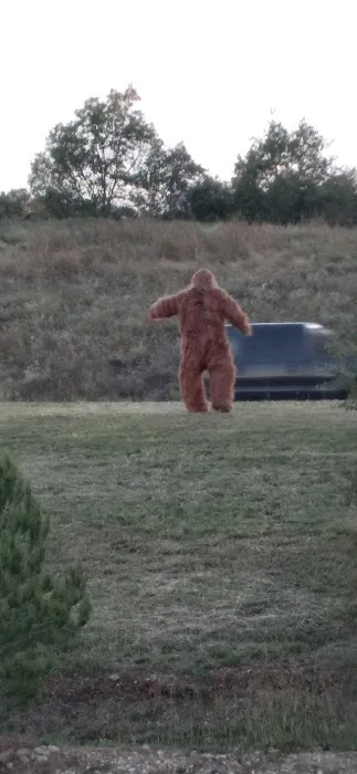 The Cove Rv Park Picture 7