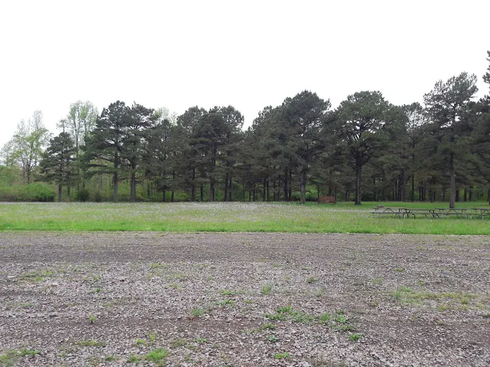 Whispering Pines RV Park Picture 3