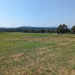 Solar Stamps Overlook