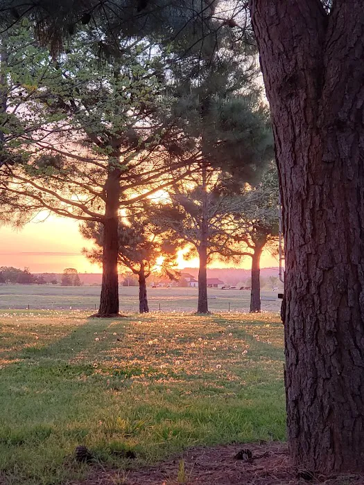 Hillbilly Haven RV Park Picture 4