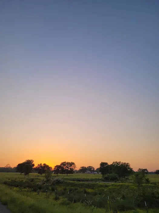 Hillbilly Haven RV Park Picture 6