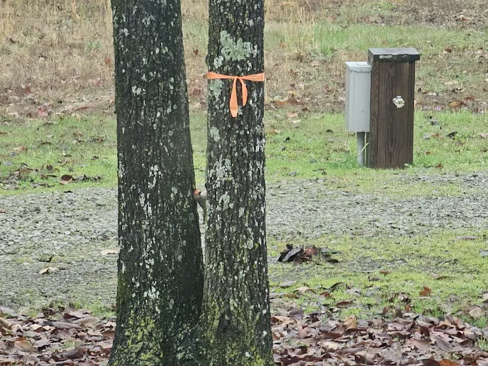 Redbud RV Park Picture 1