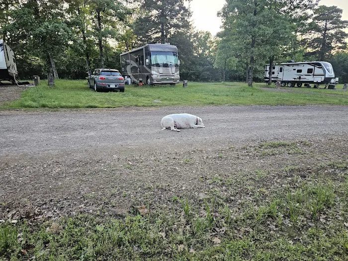 Redbud RV Park Picture 3