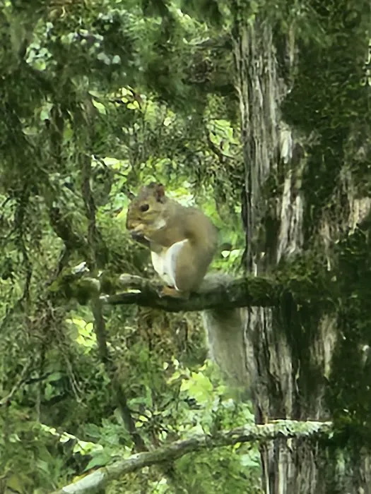 Redbud RV Park Picture 5