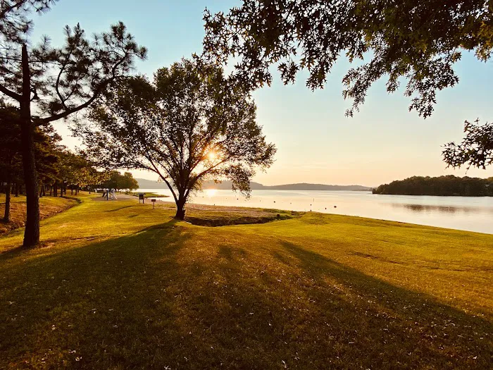 Shade Tree Rv Park Picture 5