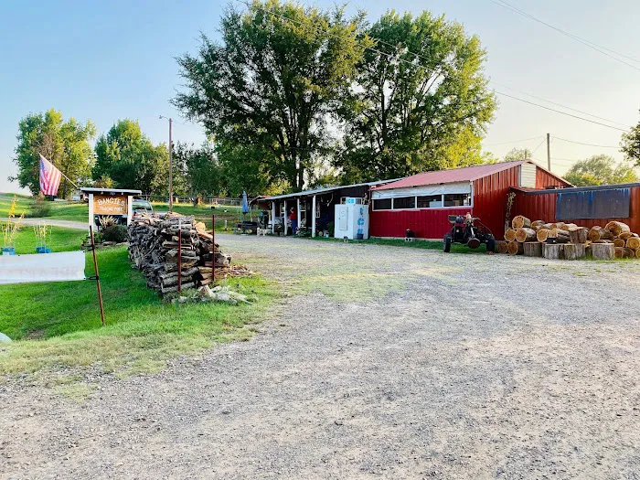 Shade Tree Rv Park Picture 6