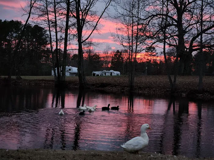 Hickey Town RV Park Picture 4