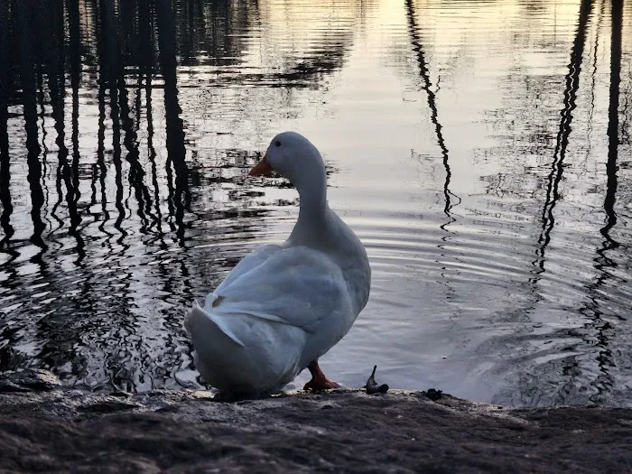 Hickey Town RV Park Picture 3