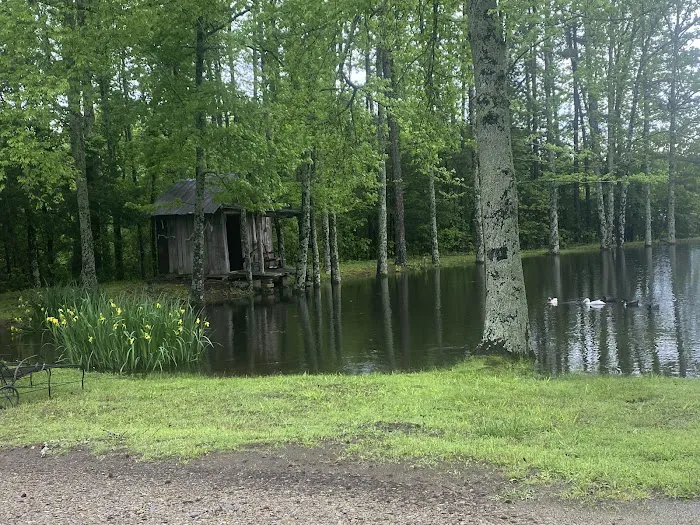 Hickey Town RV Park Picture 9