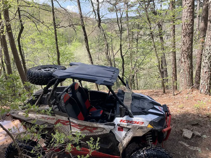 Mack's Pines Picture 1