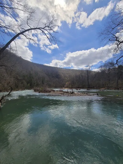 Mack's Pines Picture 7