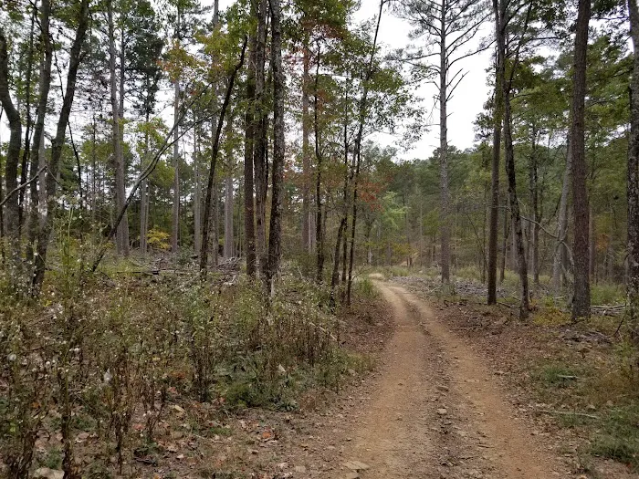 Mack's Pines Picture 10