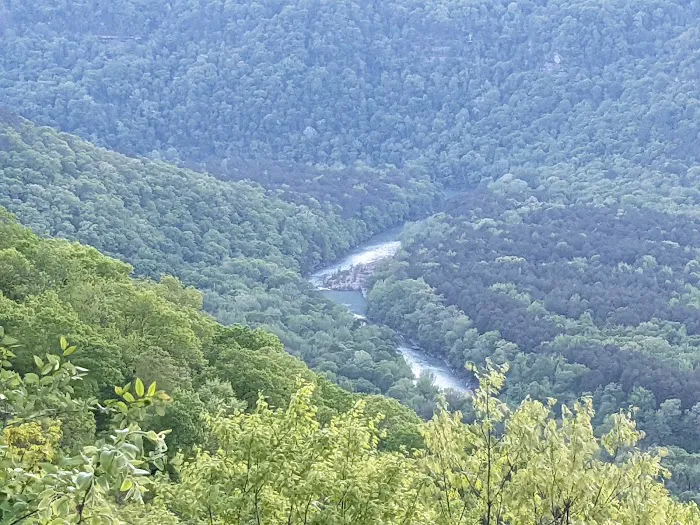 Mack's Pines Picture 5