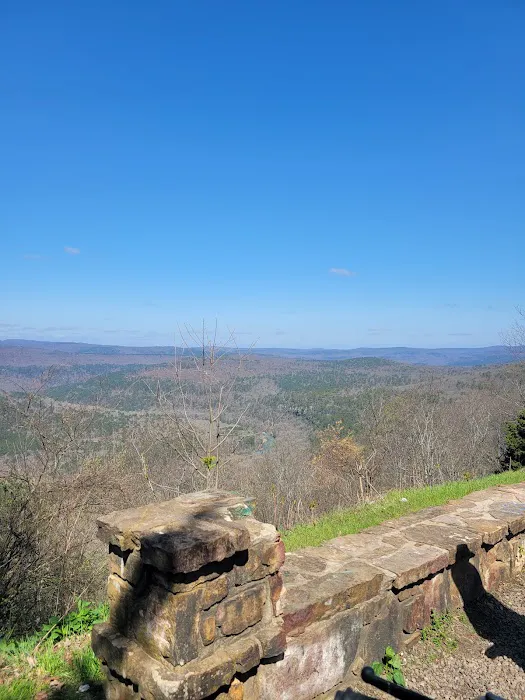 Mack's Pines Picture 8