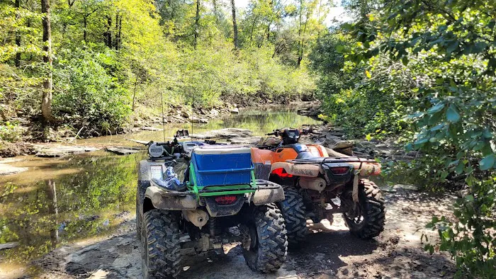 Mack's Pines Picture 9