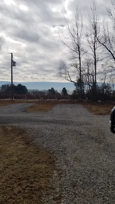 Redwood Haven RV Park Picture 6