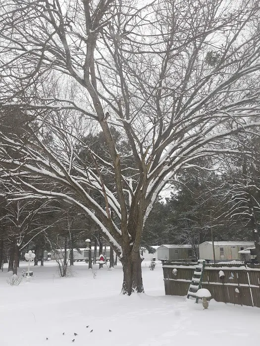 BARNES R.V. & MOBILE HOME PARK Picture 8