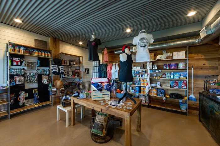 Buddy's Backyard RV Resort Picture 5