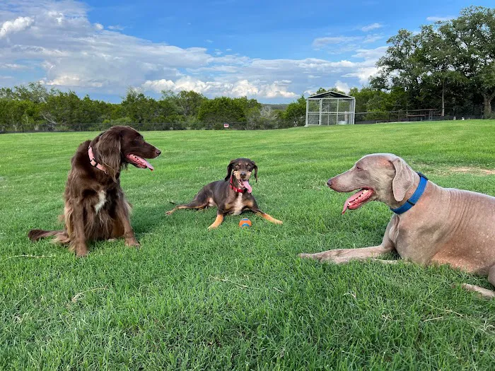 Buddy's Backyard RV Resort Picture 10