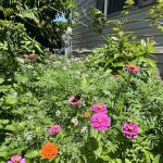 Pecan Way Mobile Home Park