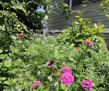 Pecan Way Mobile Home Park