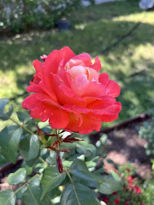 Wayside Mobile Home Park in New Braunfels Picture 4