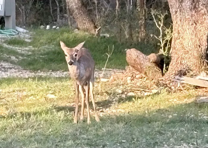 Almost Heaven RV Resort Picture 5