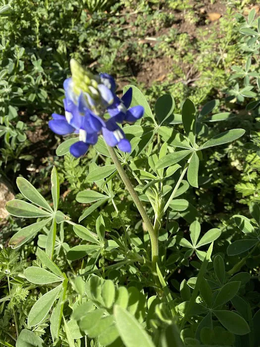 Almost Heaven RV Resort Picture 1