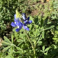 Almost Heaven RV Resort ico