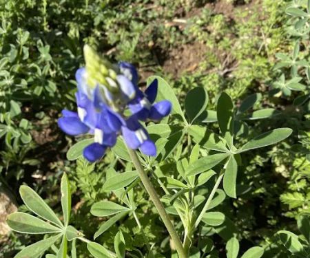 Almost Heaven RV Resort