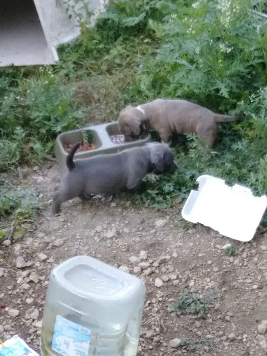 Country Village Mobile Home Park #9 Picture 10