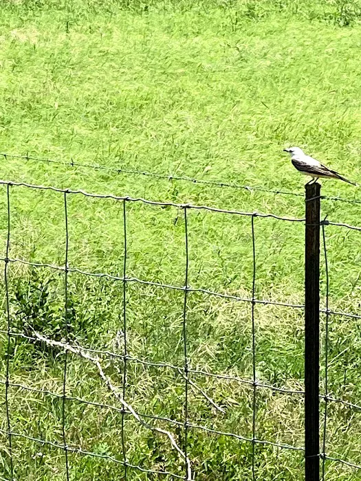 Rock ridge RV Park. Picture 8