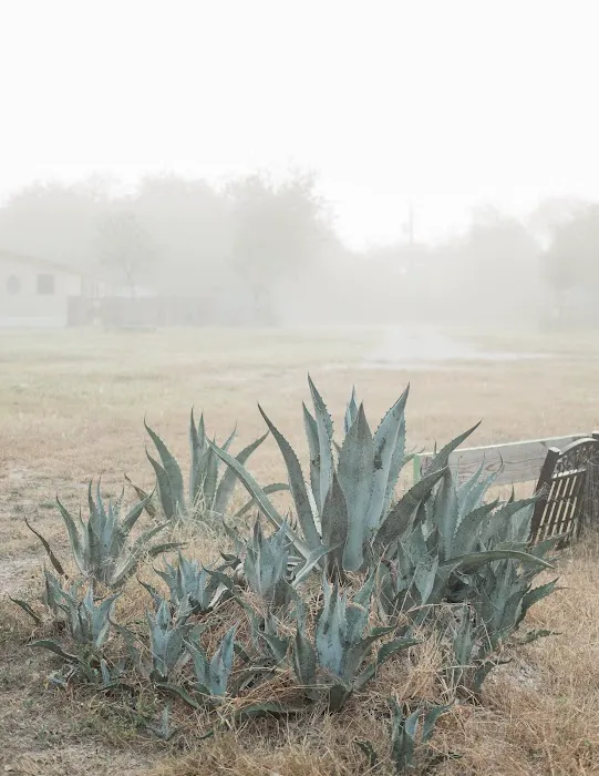 TEXAS STARR RV PARK Picture 2