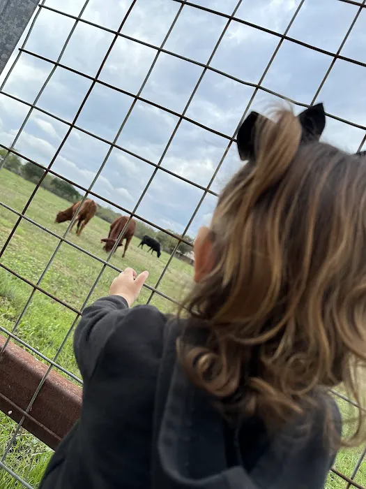 Country Living RV Park Resort Picture 4