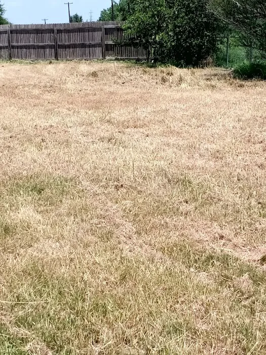 Woodlake Trails Picture 4