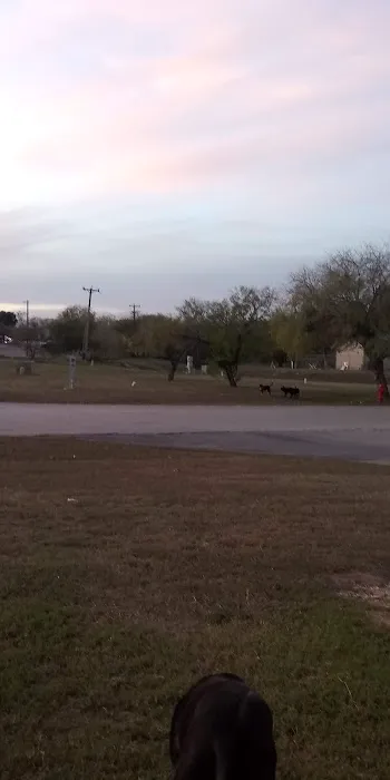 Lake Village Mobile Home Community Picture 5