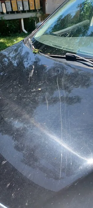 Rustic Oaks Park Picture 2