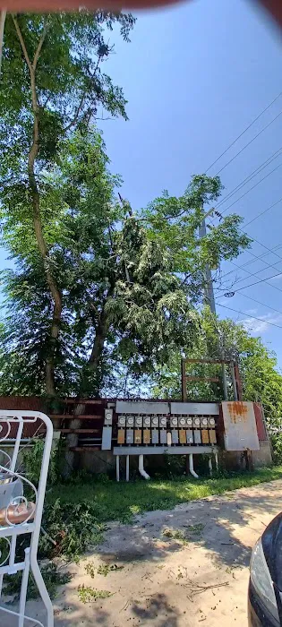 Rustic Oaks Park Picture 3